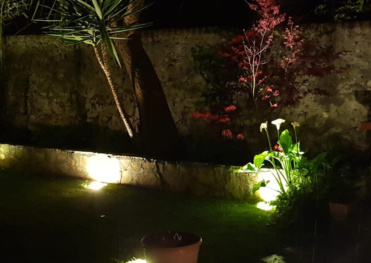 شقة La Casa Con Piscina Riscaldata Interna Anna Luxury Garden بيزا المظهر الخارجي الصورة